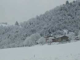 foto nevicata del 21 Febbraio 2005 8